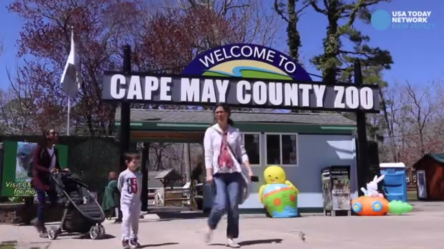 Cape May Zoo (Cape May County Park Zoo)