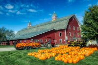 Get Out And Pick a Pumpkin In NJ