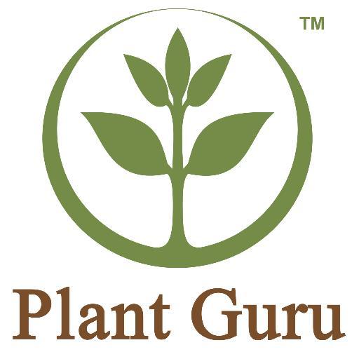 PlantGuru-Pure Essential Oils