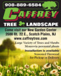 Caffrey Tree & Landscape