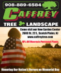 Memorial Day Sale!