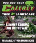 Summer Storms are on the Way!