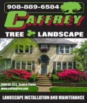 Landscape Design and Maintenance