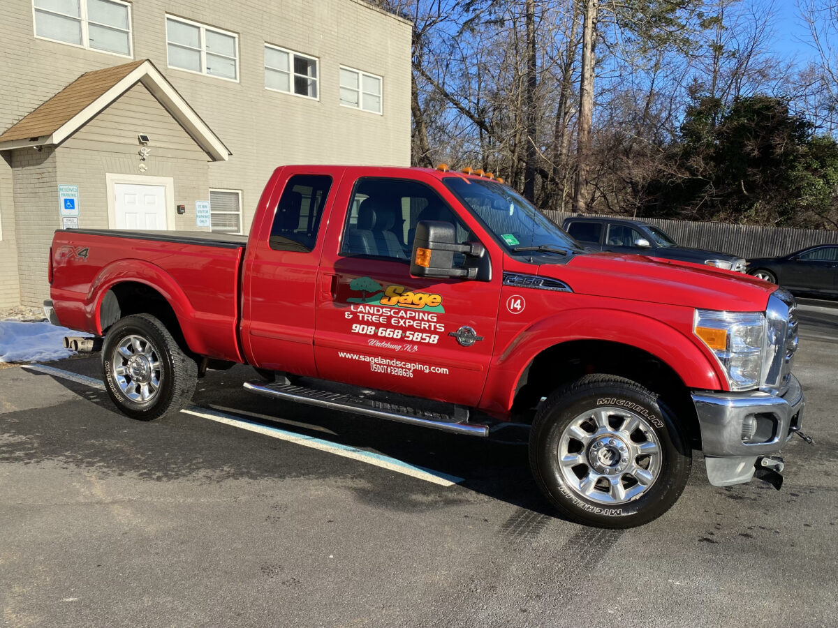 Sage Landscaping & Tree Experts