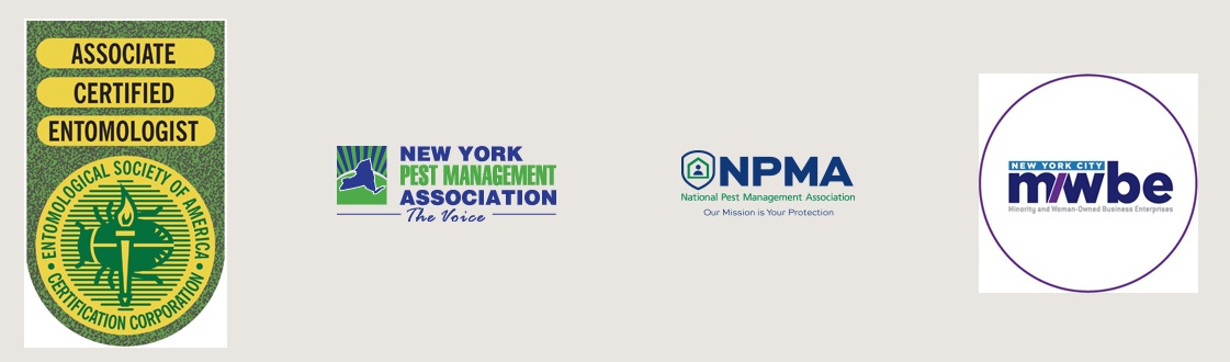 TnR Pest Control Credentials