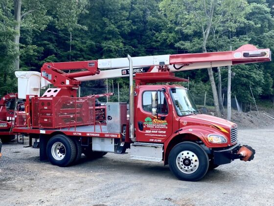 Sage Tree Experts Emergency Tree Removal Service