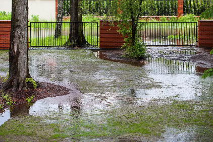 Water Pooling After Rainstorm? Watchung Pro Shares Tips To Improve Yard Drainage
