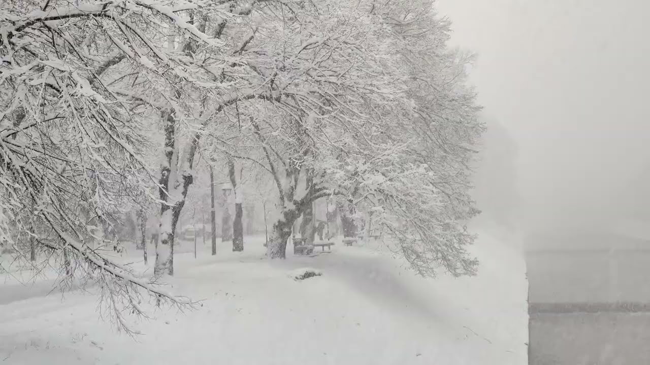 NJ Tree Experts - Sage Landscaping & Tree Experts - Watchung NJ